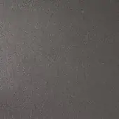 Dark gray granular texture with matte finish, displaying a random pattern of indentations; synthetic material, possibly coated fabric or molded plastic.