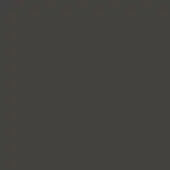 Graphite lacquer color swatch displaying a smooth, matte surface with a uniform, solid tone; used as a background element.