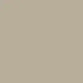 Muted warm gray color swatch, matte finish, uniform flat composition, subtle beige undertones, neutral tone, solid color sample, seamless background.