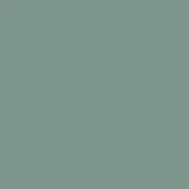Soft gray-green monochromatic composition, uniform matte color, simple background swatch with no texture or gradients, desaturated hue.