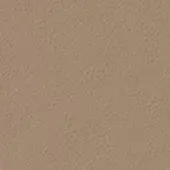 Beige full-grain leather texture with fine grain, matte finish, and subtle tonal variations; “bizzotto nara leathers vogue 6050” imprinted.