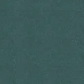 7367-Tx-Tinto-6527-Petrol