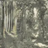 Pixelated forest composition in muted green and beige tones, featuring vertical tree trunks, dense foliage, and dappled sunlight, with “giorgetti” and fabric code.