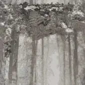 Abstract gray and bronze graphic with vertical lines evoking a forest canopy, layered texture, and subtle "giorgetti tonga 5198 bronzo" text.