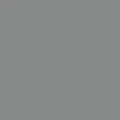 Dusty grey color field, uniform muted tone, consistent surface without texture or variation, intended as a neutral background element.