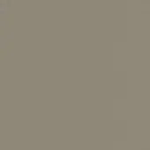 Solid gray color field, mid-tone with cool undertones, presents a uniform and minimalist composition lacking texture or discernible pattern.