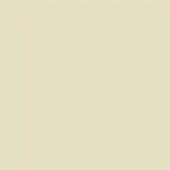 Pale beige monochromatic background with a matte finish, presenting a uniform color field and lacking texture or discernible visual structure.