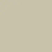 Warm gray color field with a matte finish, presenting a uniform, neutral tone across the frame and lacking texture or discernible pattern.