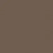 Warm medium brown color field, matte finish, uniform tone, consistent hue, no texture, solid background sample, neutral color palette.