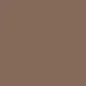 Warm brown color field, muted taupe tone, smooth matte appearance, even diffused lighting, uniform composition, no visible texture or pattern.