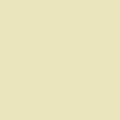 Pale yellow matte surface, uniform color field, smooth texture, diffuse lighting, neutral composition, background swatch sample.