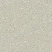 Granular light gray texture with a consistent matte finish, resembling suede or lacquer, displaying a uniform and slightly mottled surface.