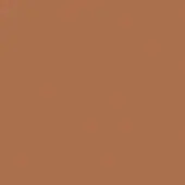 Warm brown saddle leather texture, consistent tone, studio shot, colonial leather finish, natural material, understated color palette.