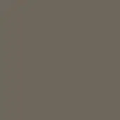 Solid brown color field, matte finish, uniform tone, consistent hue, lacking texture or pattern, simple composition, neutral background.