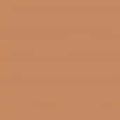 Saddle leather surface, terracotta brown color, smooth matte finish; consistent hide with even lighting and no visible texture variations.