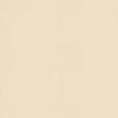 Light ash wood texture with vertical grain, pale beige tone, smooth matte finish, and natural wood growth ring variations throughout.