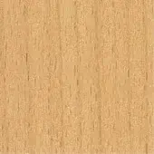Beechwood texture displaying a light tan color with vertical grain, fine linear markings, and small knots; matte finish.