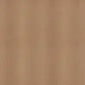 Beechwood veneer sample, light brown tone, vertical flowing grain, smooth finished surface, Giorgetti manufacturer label visible.
