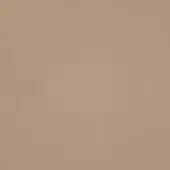 Taupe texture sample, matte finish, fine grain resembling leather, light brown with gray undertones, uniformly colored surface, tightly woven material.
