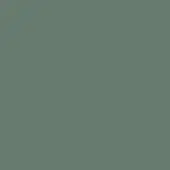 Argilla lacquered surface, grayish-green color, matte finish, smooth texture, flat composition, minimal saturation variation, subdued olive tone.