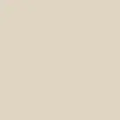 Lacquered cocco surface, warm beige tone, matte finish, uniform color, diffuse lighting, flat appearance, material sample for interior design.