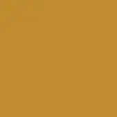 Ochre lacquered surface, matte finish, uniform color, studio shot, smooth texture, earthy yellow-brown tone, solid background composition.