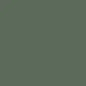 Solid olive green color sample, matte lacquered finish, labeled “oliva” with “lago” and “materials” text, consistent tone throughout the composition.