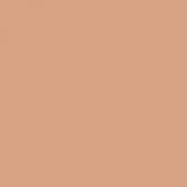 Terracotta pesca lacquered finish, matte solid color background, consistent neutral tone, flat backdrop for product display.