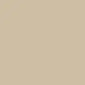 Neutral beige solid color background, smooth matte surface, consistent tone, lacking texture or pattern, simple composition, understated visual.