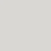 Pale gray matte surface with consistent tone and diffused lighting, presenting a uniform, flat composition devoid of texture or branding.