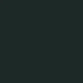 Solid dark green background, muted forest green color, uniform flat composition with no texture or visible pattern for backdrop use.