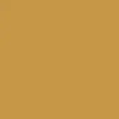 Ochre background, solid color, matte texture, uniform surface, warm earthy tone, smooth composition, consistent shade, digital rendering.