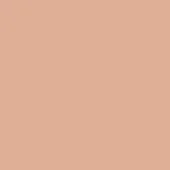 Pesca color background, matte peach tone, uniform solid surface, even color distribution, simple uncluttered composition, consistent visual field.