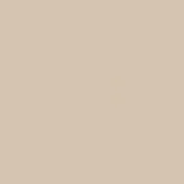 Neutral beige solid color background, smooth uniform surface, even diffuse lighting, flat composition, consistent tone, lacking texture or pattern.