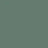Solid matte green color field, consistent tone, smooth surface, studio presentation, argilla color sample, lacking sheen or texture variation.