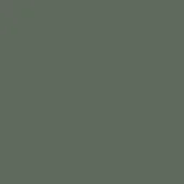 Shiny glass color swatch in olive green, consistent tone across the frame, identified as “lago > materials > shiny glass > oliva”.