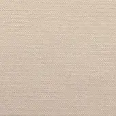 EU Ecru Parasol fabric texture features a tight, even weave in a pale ecru tone with a matte finish and subtle tonal variations.
