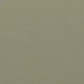 Matte olive green powder coating texture with granular finish, even lighting, and subtle gray undertones on a seamless studio background.