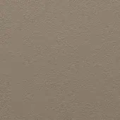 Matte sand-colored texture sample with granular surface, exhibiting a neutral beige tone and subtle gray undertones under diffused lighting.