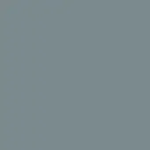 Cool grey matte color field, uniform tone, smooth surface, consistent shade, neutral background, solid color, flat composition, no texture.