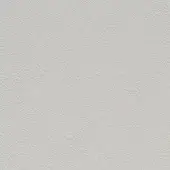 Light gray granular texture with subtle directional pattern, resembling stucco plaster, evenly lit with minimal shadows and surface irregularities.