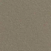 Concrete texture in desert taupe, lacquered finish with granular detail, muted beige tones, and diffused studio lighting.