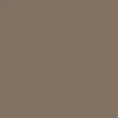 Desert taupe matte finish with subtle gray undertones, exhibiting a consistent, lacquered texture and soft, understated appearance.