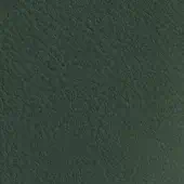 Dark green leather texture with irregular grain, mottled finish, and subtle tonal variations; vismara nabuk (extra) na24 labeling.