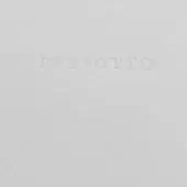 Debossed “PREOTTO” text on light gray matte surface, fine grain texture, studio shot, subtle recessed lettering, even diffused lighting.