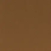 Bronze textured surface with granular pattern, warm medium tone, and matte finish displaying a consistent embossed visual depth.