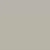Neutral ral silk grey 7044 color field, matte finish, even lighting, uniform tone, simple composition, swatch presentation.