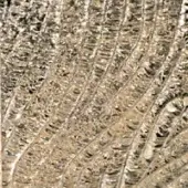 Barovier & Toso rug, beige Murano glass, diagonally striped texture with layered scale-like pattern and warm earthy tones.
