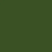 Dark olive green monochromatic composition, uniform matte color, simple visual structure with no discernible texture or tonal variations present.