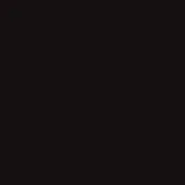 Dark brown rectangle, flat matte surface, uniform color, even lighting, solid color background, digital graphic, studio setting, consistent tone.